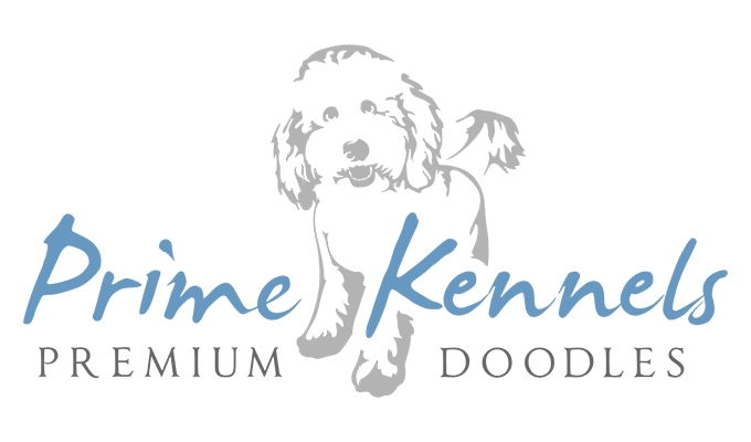 Prime Kennels Premium Doodles