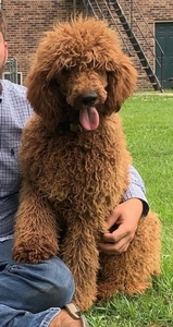Jackson